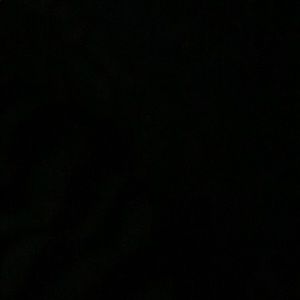 Meet your Posher, Shannell